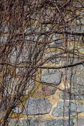 Similar image 21324650