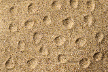 Similar image 21325488