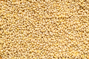 Similar image 21325202