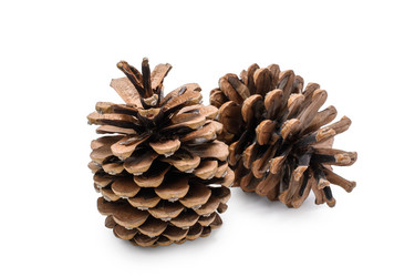 Similar image 21325754