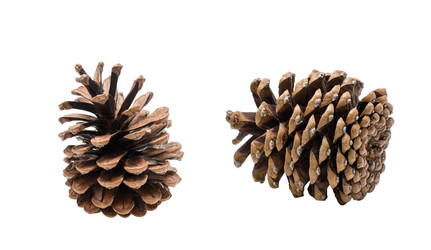 Similar image 21325491