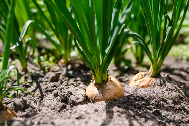 Similar image 21325513