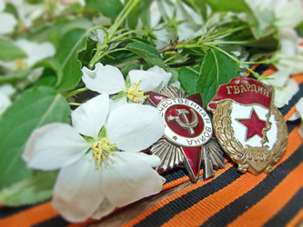 Similar image 21324657