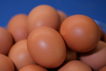 Similar image 21326889