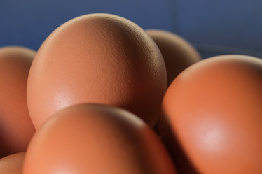 Similar image 21326890