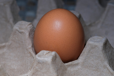 Similar image 21326894