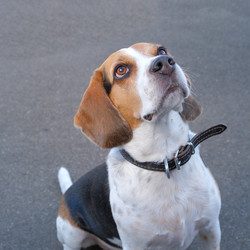 Similar image 21326895