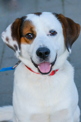 Similar image 21326896