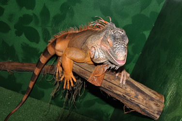 Similar image 21337447