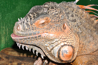 Similar image 21337450