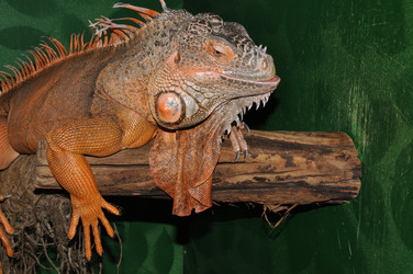 Similar image 21337457