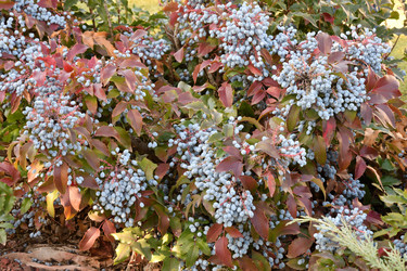 Similar image 21337458