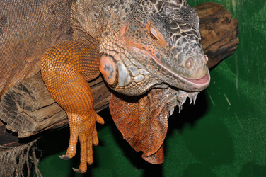 Similar image 21337463