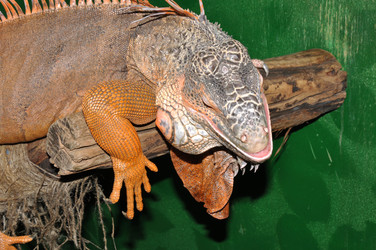 Similar image 21337465