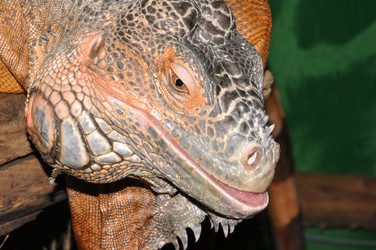 Similar image 21337467