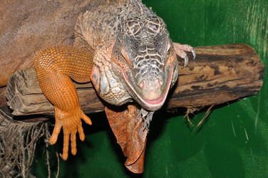 Similar image 21337469