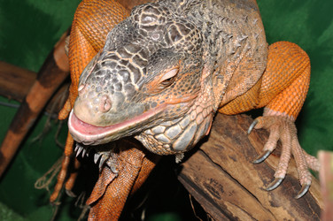 Similar image 21337472