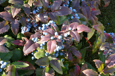 Similar image 21337906