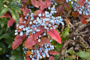 Similar image 21337918