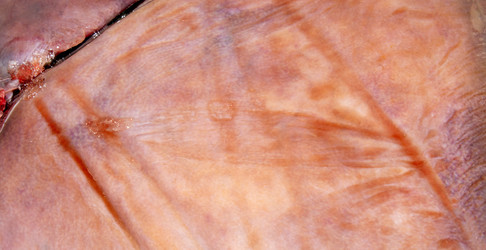 Similar image 21324667