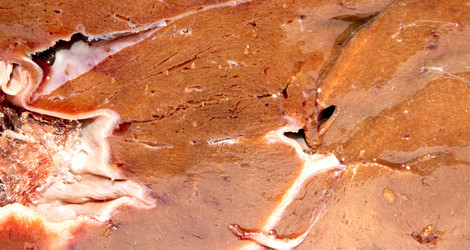 Similar image 21324668