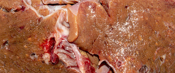 Similar image 21324669