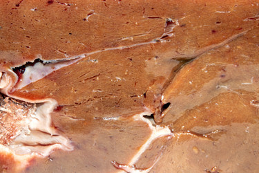 Similar image 21324670