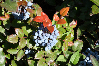 Similar image 21337947