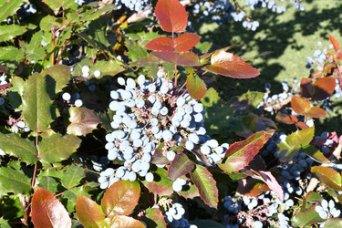 Similar image 21337950