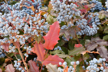 Similar image 21337958