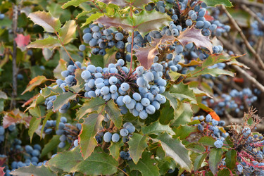 Similar image 21337962