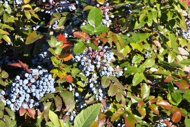 Similar image 21337968