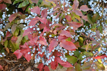 Similar image 21337970