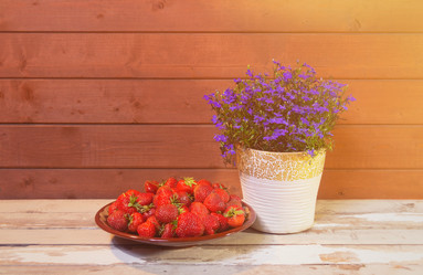 Similar image 21324673