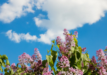 Similar image 21324674