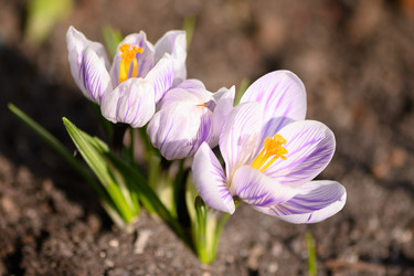 Similar image 21324678