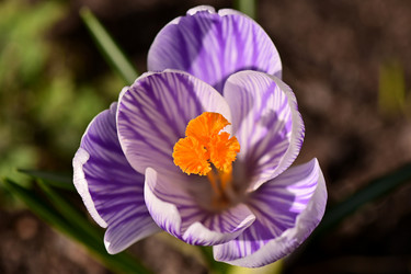 Similar image 21324679