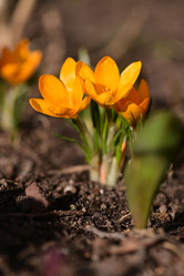 Similar image 21324680