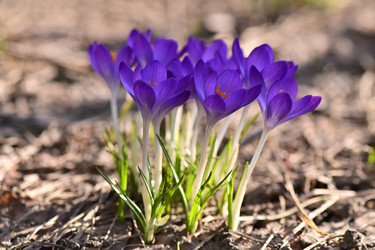 Similar image 21324681