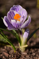 Similar image 21324682