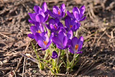 Similar image 21324684