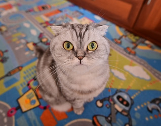 Similar image 21324686