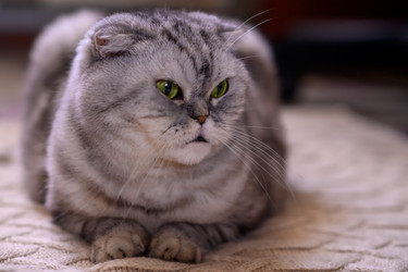 Similar image 21324687