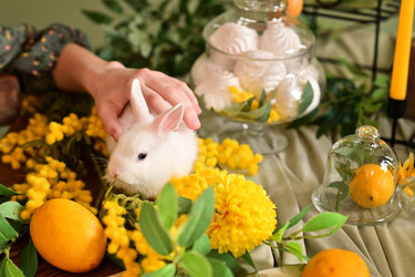 Similar image 21324689