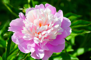 Similar image 21337972