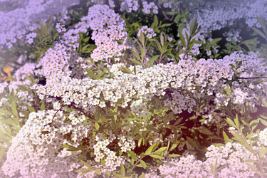 Similar image 21337973