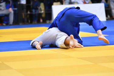 Similar image 21337975