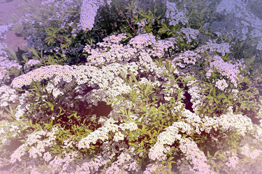 Similar image 21337978