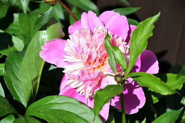 Similar image 21337979