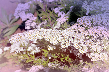 Similar image 21337980